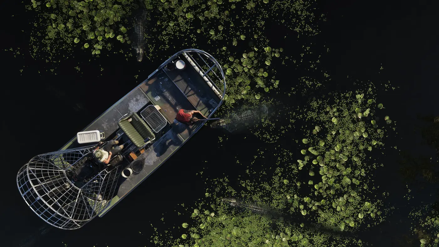 Vue du dessus d'un airboat à hélice carénée glissant sur l'eau sombre d'un marais des Grassrivers dans GTA VI, nénuphars et silhouettes d'alligators visibles autour de l'embarcation